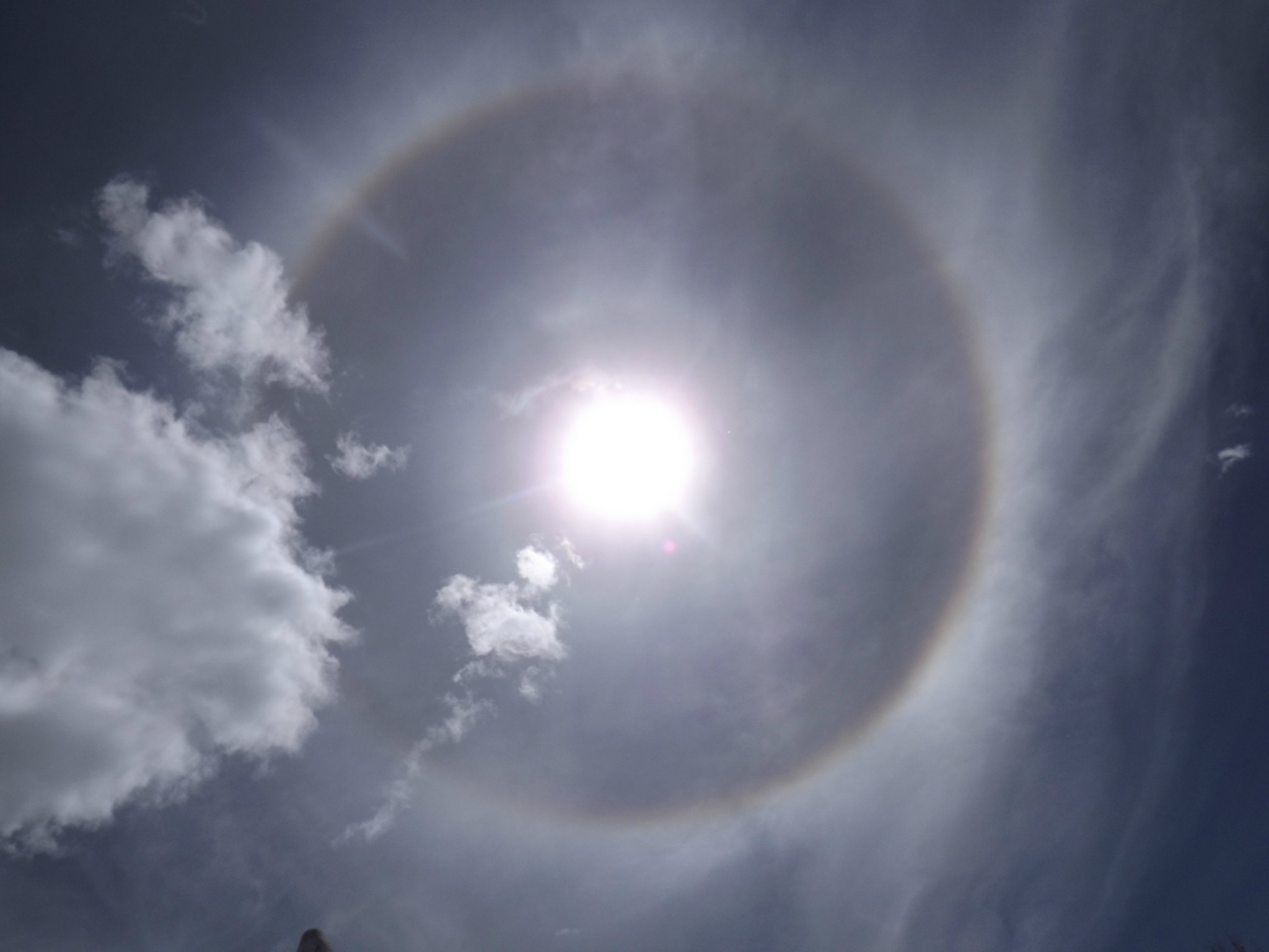 �ڽ�ͽΪ��ǿ���������������ȣ�