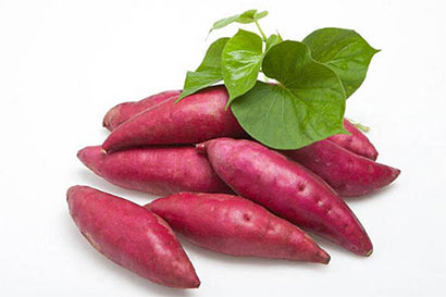 11�ֳ�ǿ������ʳ_��ζ�ּ���(ͼ)