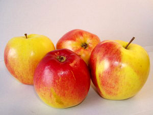 Խ��Խ����_9�ֳ�ǿ��˥����ʳ