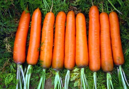 Խ��Խ����_9�ֳ�ǿ��˥����ʳ