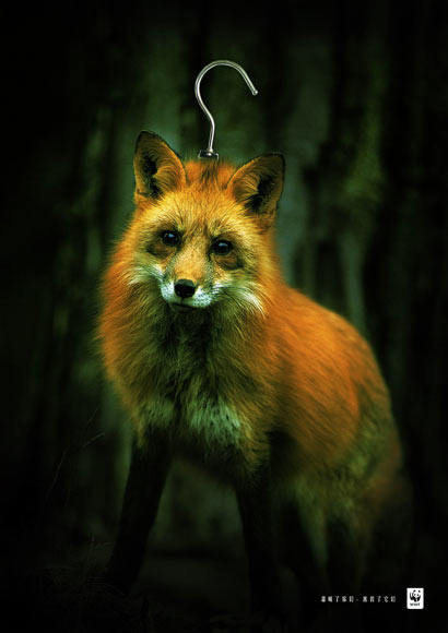 唐山大地震当夜一只狐狸报恩救人 唐山大地震当夜一只狐狸报恩救人