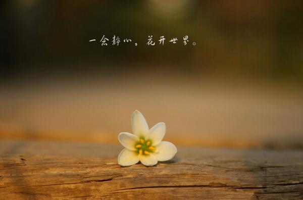 现代人在戒律方面常犯的一些邪见 现代人在戒律方面常犯的一些邪见