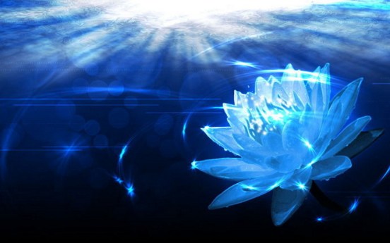 �о������κ�������