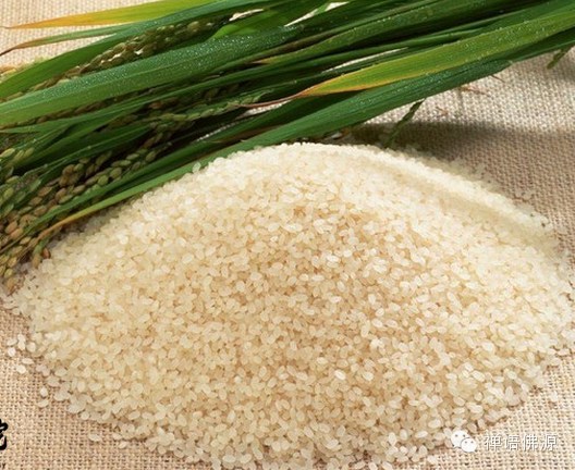 ����ͷ��Ƶ����ǲ������