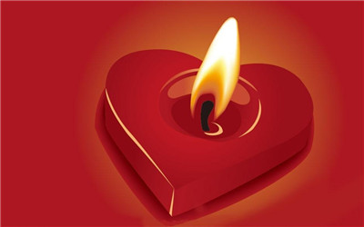 ��ɽ�������ڽ���ο������������ɱ��