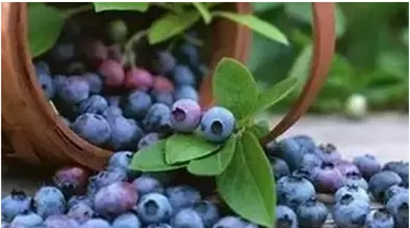 ���繫��ʮ�󽡿�ˮ��_������һ��Ȼ����(ͼ)