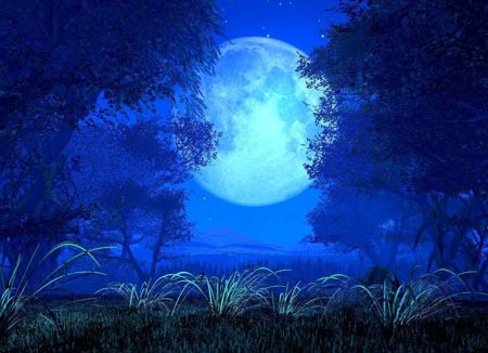 ��ʦ��С͵�Ĺ��£�͵��ȥ������͵��ȥ����