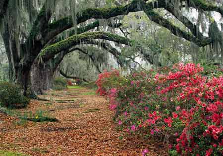 �������ϣ���ɽ����ޣ���������Ӳ��ĥ��ʯ