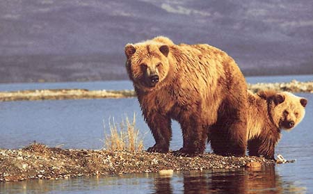 �ǿպ��н���_��������ӪҪѧϰ������