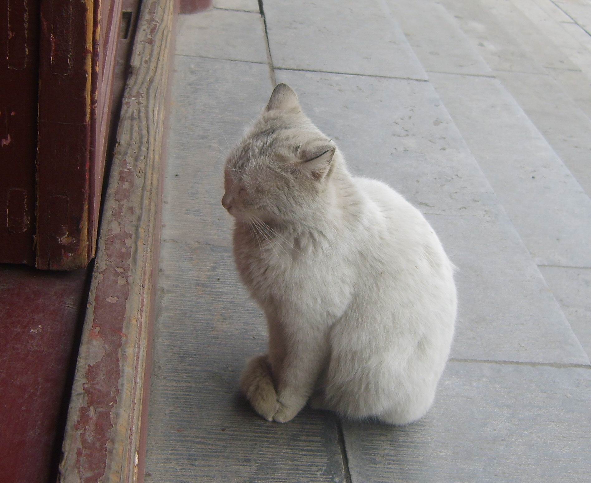 ��Ⱥ�����˷��Ըߣ��������ٴ�Ⱥ��(��ͼ)