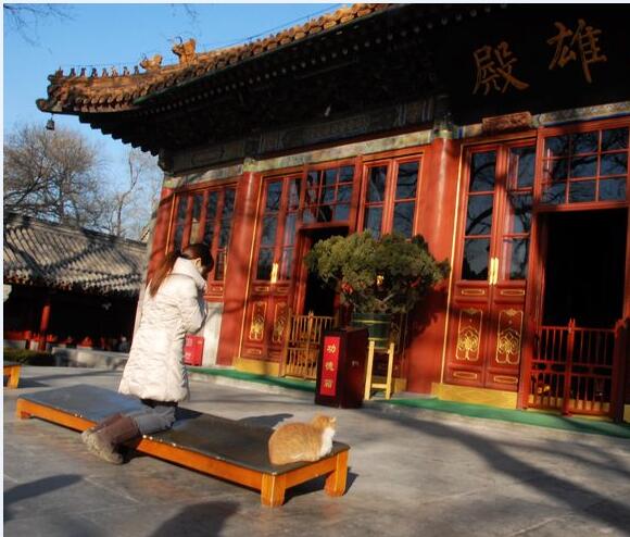 ��Ⱥ�����˷��Ըߣ��������ٴ�Ⱥ��(��ͼ)