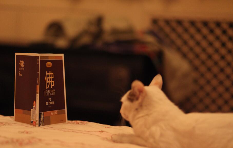 ��Ⱥ�����˷��Ըߣ��������ٴ�Ⱥ��(��ͼ)