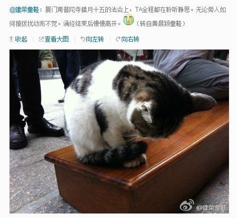 ��Ⱥ�����˷��Ըߣ��������ٴ�Ⱥ��(��ͼ)