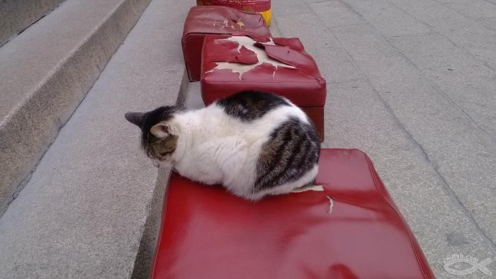 ��Ⱥ�����˷��Ըߣ��������ٴ�Ⱥ��(��ͼ)