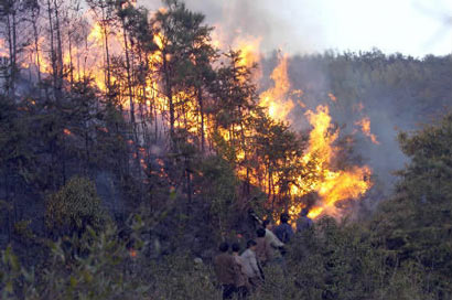 以佛教看来_给亡灵烧纸钱有用吗? 以佛教看来_给亡灵烧纸钱有用吗?