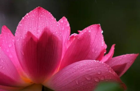 �Լ��ͼ��˵����ز�����ô��