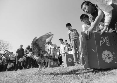 ���طǷ�������ҵ����������ɱ��_����������