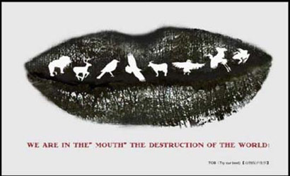 ��ʳ�������ĸ����������ΪʲôӦ����ʳ