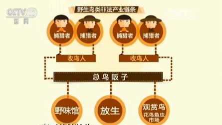 放生的智慧:一招斩断黑心商贩“放生”敛财链 放生的智慧:一招斩断黑心商贩“放生”敛财链