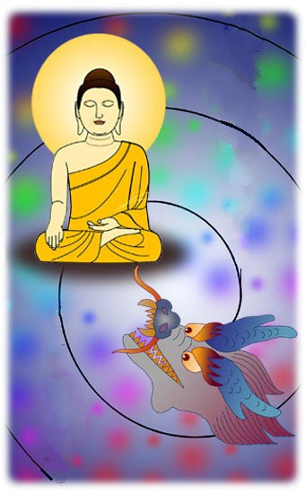 ������������Ƥ����_����ʳ��С��ת���ɰ�������