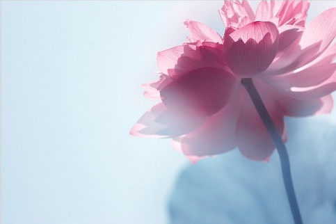 佛说当你这样对待敌人时就有了慈悲心 佛说当你这样对待敌人时就有了慈悲心