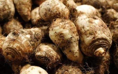 ���С�෢��̫��������������ʳ��ʤ����