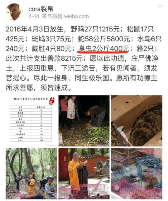 ��Ŀ����_��������������������ϡ�������(ͼ)