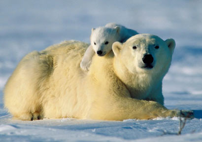 母爱惊天泣血:母亲强忍致命刀伤_临死前给孩子喂奶(图) 母爱惊天泣血:母亲强忍致命刀伤_临死前给孩子喂奶(图)