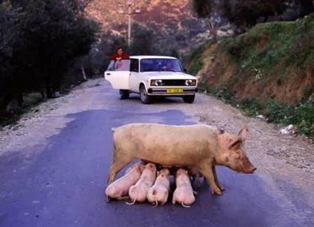 母爱惊天泣血:母亲强忍致命刀伤_临死前给孩子喂奶(图) 母爱惊天泣血:母亲强忍致命刀伤_临死前给孩子喂奶(图)