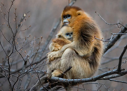 母爱惊天泣血:母亲强忍致命刀伤_临死前给孩子喂奶(图) 母爱惊天泣血:母亲强忍致命刀伤_临死前给孩子喂奶(图)
