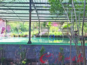 ��������20�ڳ��ҵ�����:�ҷǵڶ���������(ͼ)