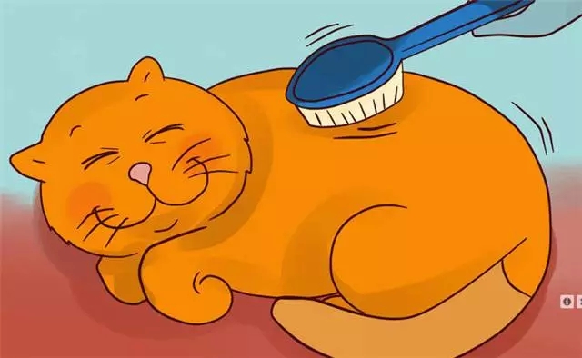 һ�����ʾ��ܽ�����£��㻨��ô��ԩ��Ǯ