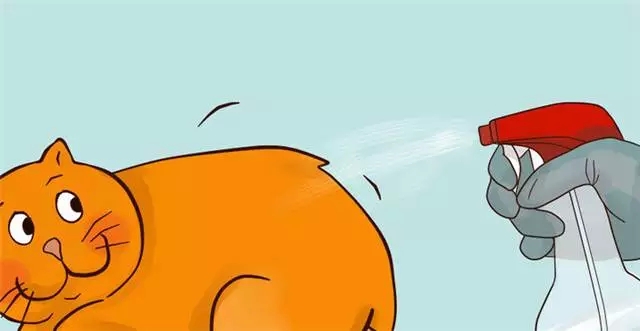 һ�����ʾ��ܽ�����£��㻨��ô��ԩ��Ǯ