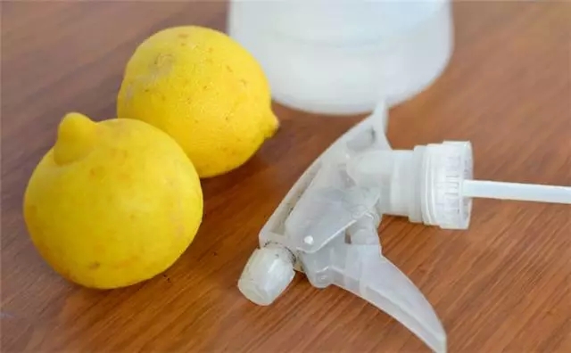 һ�����ʾ��ܽ�����£��㻨��ô��ԩ��Ǯ