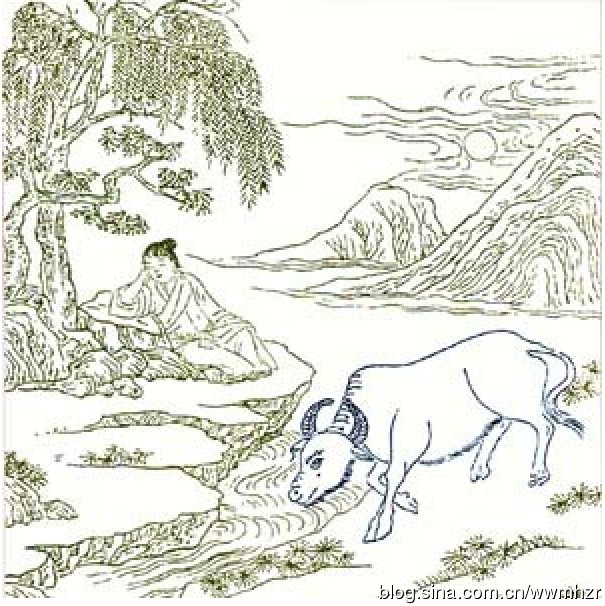 �㽭һ��ʦ��ţ����_��ţ����ս��ͽ�ȶ���(ͼ)