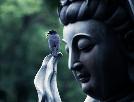 ��˵�޺�����һ������_Ҳû���������