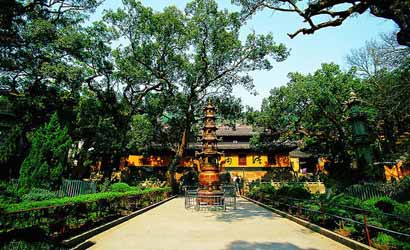 �������£���֪��ʩһζ������˽��һ�ֱ�̬