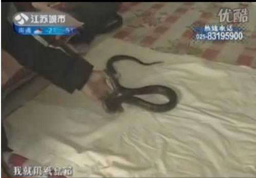 ����С�����һ����_С�߱�������С��ĸ��(ͼ)