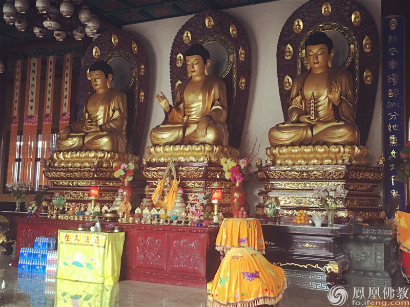 �����Ϻ��У�����Ժ�е��徻��ϲ˵��������Ƹ�