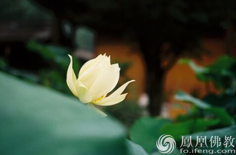 ��ڹ��ʦ������һ��ʦ����10ԭ���е�����