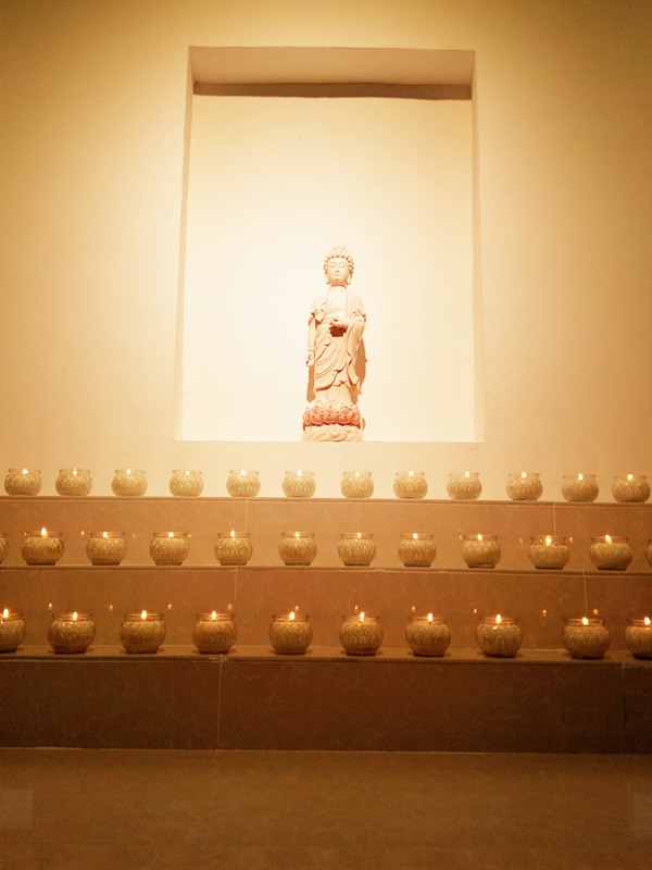 �����۹��ơ�49�쳤����