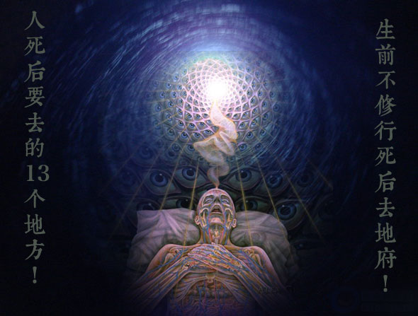 һ������˺�һ�����ŷ�������յľ޴󷴲�