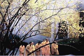 ��11.26���㽭��̨ɽ�ȶ��½��ٰ�������ްࡢ�����������