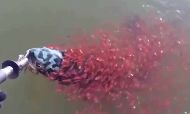 ���ӵ�������,ͻȻ����ǧС��Χס