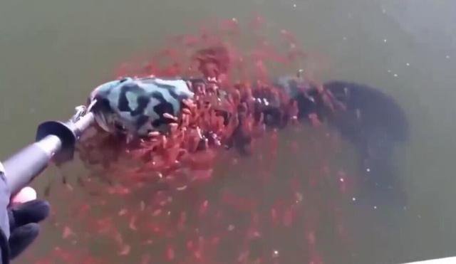 ���ӵ�������,ͻȻ����ǧС��Χס