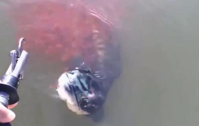 ���ӵ�������,ͻȻ����ǧС��Χס