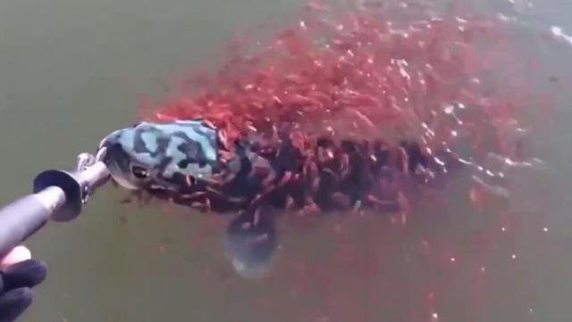 ���ӵ�������,ͻȻ����ǧС��Χס