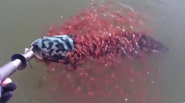 ���ӵ�������,ͻȻ����ǧС��Χס