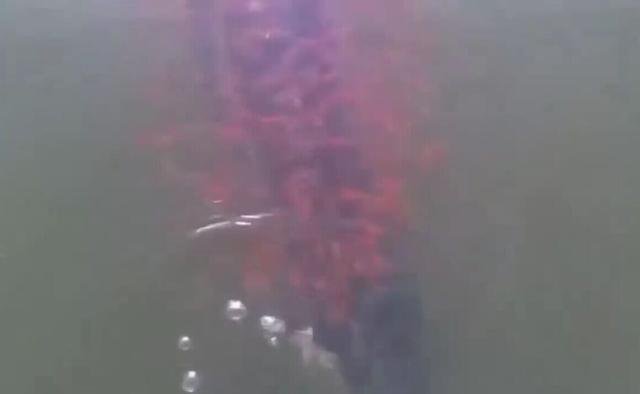 ���ӵ�������,ͻȻ����ǧС��Χס