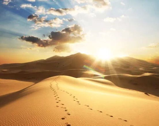 Ϊʲô�е����������ɾ���׬Ǯ